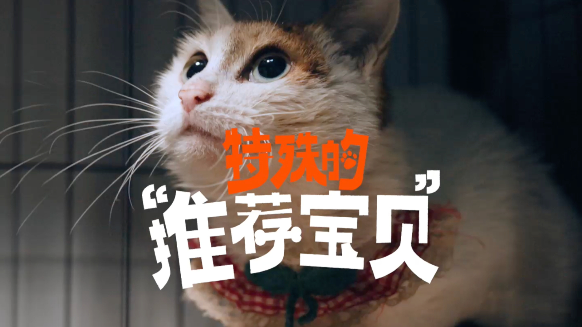 请查收来自淘宝：一些“特殊的推荐宝贝”